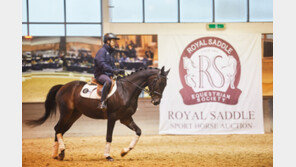 한화리조트 로얄새들 승마클럽, 3번째 승용마 경매 실시