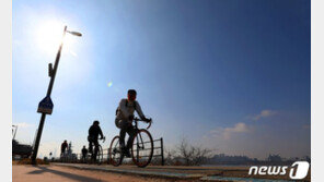 자전거 사고 46%는 머리 다쳐…헬멧 착용 4.6% 뿐