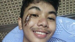 “너도 가능?” 바퀴벌레 입에 물고 인증샷… 혐오 챌린지 SNS서 유행