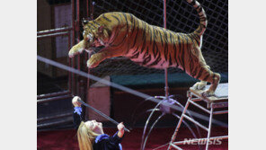 “러시아서 서커스에 동물 출연 금지…잔인한 착취 행위”