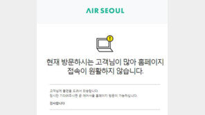 에어서울 ‘0원 특가’ 선찬순에 난리…홈페이지 접속자 폭주
