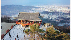 세계서 가장 긴 벚꽃길 있는 ‘대청호반’… 대전 시내 야경 보러 ‘식장산’으로 가자!