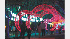 언제나, 누구든, 마음껏 즐기는 ‘문화예술축제’