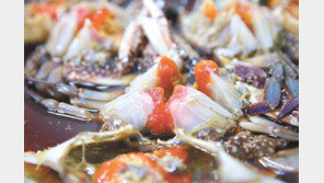 9景-9味-9品… 프란치스코 교황이 찾은 곳