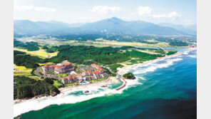 대명리조트 5% 할인 특별회원권 분양 外