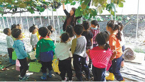 갯벌에서, 논밭에서… 농촌체험 16개 코스 운영