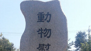 충북도, 전염병 예방 위해 희생된 동물 위령비 세워