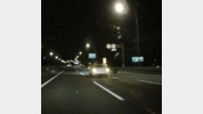 ‘사망 여배우’ 한지성, 허리 숙이고 도로 한복판에 왜?…제보자 등장