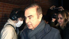 카를로스 곤 아내 “나는 남편 사건과 무관”