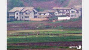 ‘최악의 식량난’에 한쪽 눈 감은 美…韓 대북지원 지지