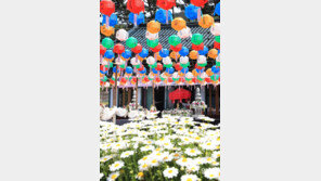 고통 속에서도 꽃은 피나니