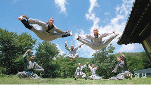 전통무예 수련부터 문화유산 탐방까지…개성만점 한국의 사찰을 즐긴다