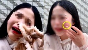 살아있는 문어 ‘먹방’ 찍던 여성, 얼굴 멍들고 살점 뜯겨