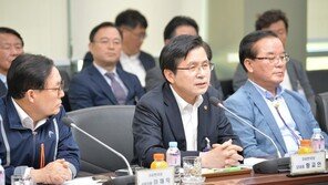 황교안 “국내 원전 안전성 충분히 입증” 탈원전 정책 비판