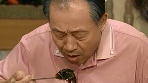 [응답하라, 옛날 사람②] 1020에겐 신선함을, 3040에겐 추억을…