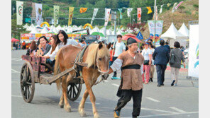 “충북에서 봄의 정취를 느껴보세요”