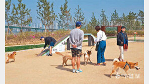 송도에 ‘반려견 놀이터’ 개장