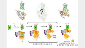 韓 연구진, 2012년 노벨상 뒤엎는 결과 밝혔다…“신약개발 주요 모델 발견”