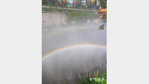 [고양이 눈]청계천 무지개