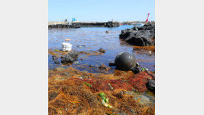 천리안 1호 해양관측 데이터로 ‘한반도 지구온난화 영향’ 밝힌다