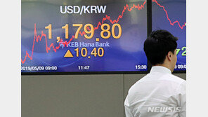 “美정부, 환율관찰대상국서 한국·인도 제외 전망”
