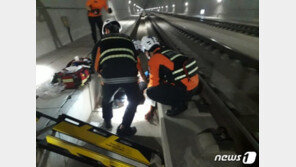 시속 170㎞ KTX 창문 깨고 뛰어내린 30대 여성…병원 치료 중