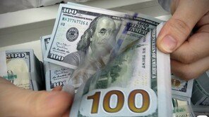 韓, 환율조작 ‘관찰대상국’ 제외될 듯…“예상밖 결과”