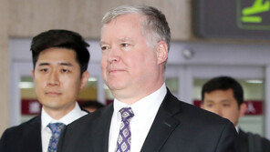 비건, 10일 3시 靑안보실 2차장 면담…정의용 만남은 없을 듯