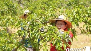 황교안 “北 식량만 얘기한다면 여야 대표회담이 무슨 의미냐”