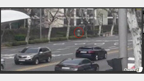 전동휠로 어린이 치고 운전자 아닌 척한 20대 男… 결국 들통나 검거