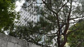 외교부 “아프리카서 구출된 인질 ‘40대 한국 여성” 공식 확인