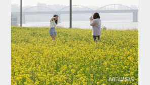 일요일 낮도 초여름 날씨…자외선 지수 ‘매우 높음’
