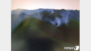 정선 야산서 산불 발생…1시간30분만에 큰 불길 잡아