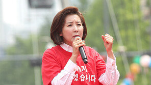 나경원 “2년밖에 안된 文정부, ‘한강의 기적’처럼 몰락해”