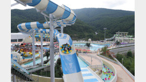 하이원리조트, 5월 가족고객 다양한 이벤트