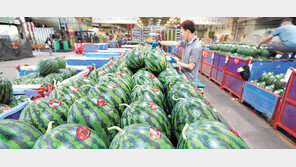 일찍 온 무더위, 빨리 온 수박