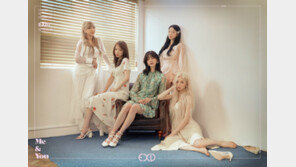 [연예현장.jpg] 청순한 EXID ‘심쿵’