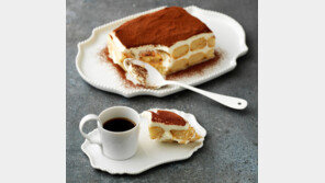 알바인생 20대, 월 카드비 37만원 ‘짠물’… 디저트-커피로 ‘소확행’