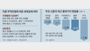 달러 대비 원화가치 한달새 3.72% 하락… 금융위기 거론되는 아르헨보다 낙폭 커