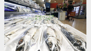 ‘눈먼 돈’ 수산 국가보조금 줄줄 샌다…감사원 무더기 적발