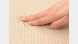 [단신]올록볼록 디자인 애완동물 매트