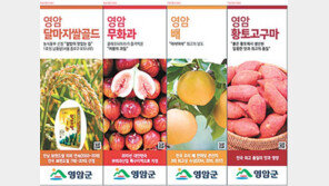 귀농귀촌인에게 원스톱 정착 서비스 지원