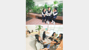 학교에 숲교실-쉼터… “공부 스트레스 확 풀려요”