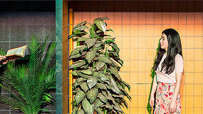 유쾌하게, 뻔뻔하게… 편견에 반기를 들다