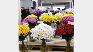 충남 화훼연구소가 개발한 국화-백합 신품종 수상