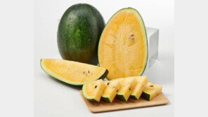 ‘혼자 살아도 먹을 수 있지’…1인용 수박 대세