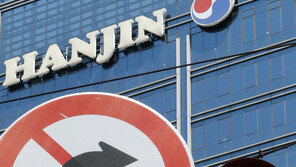 ‘3세 체제’ 한진가 이명희 영향력 커졌나…상속 계획에 관심