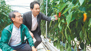 광주 롯데백화점, 농가 판로확대 ‘상생 행보’ 눈길