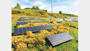재생에너지, 이젠 기업생존까지 좌우한다