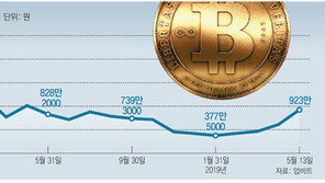 1000만원 넘보는 비트코인… 美中분쟁-기업투자에 다시 불붙어